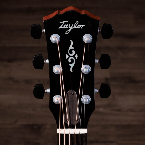 800 Series Acoustic Guitars | Taylor Guitars